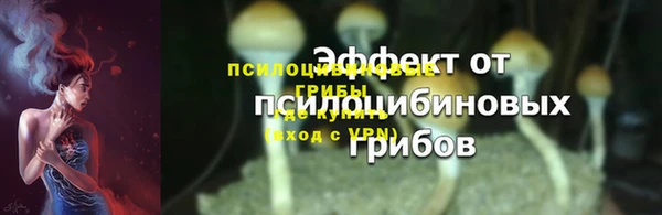 не бодяженный Белокуриха