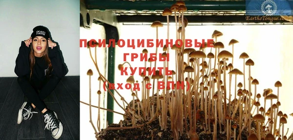 не бодяженный Белокуриха